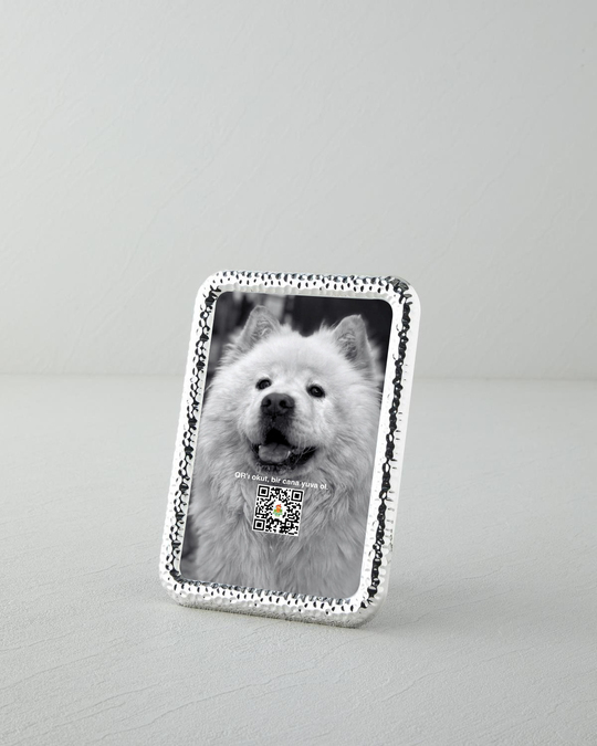 Esta Çerçeve Silver