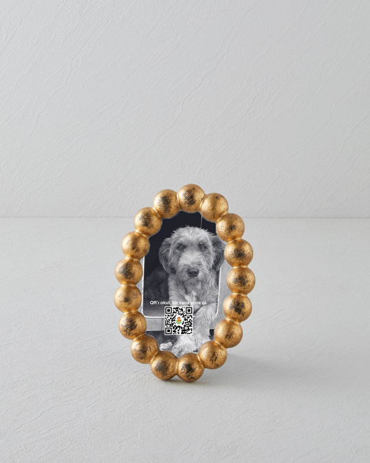 Judie Çerçeve Gold