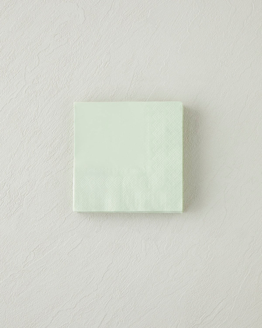 Plaine 20li Kağıt Peçete 24x24 cm Yeşil