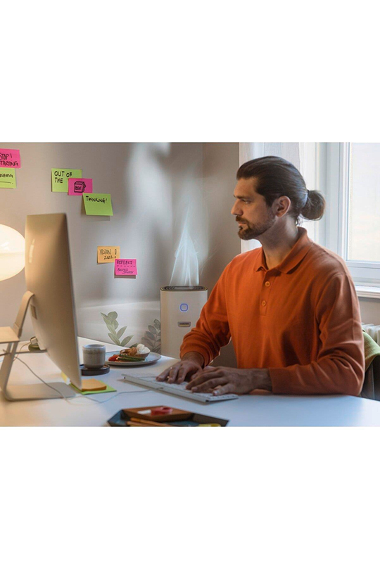 Karcher Af 20 Hava Temizleme Makinesi