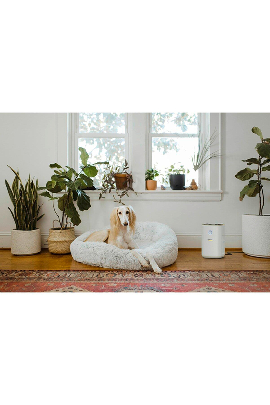 Karcher Af 20 Hava Temizleme Makinesi