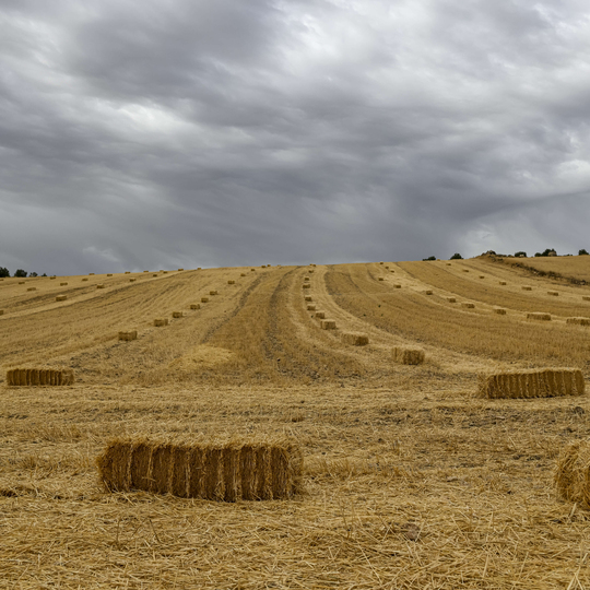 Uzfarm