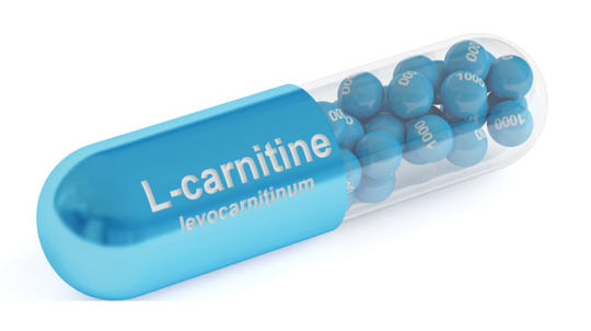 l carnitine without workout Karnitinin Faydaları Nelerdir?