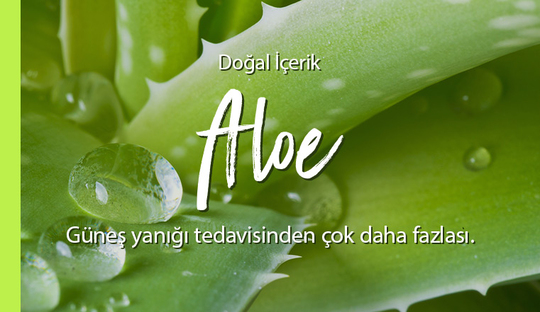 sence aloe vera conditioner Aloe Vera Conditioner for Healthy, Hydrated Hair | 16 fl oz Bulk