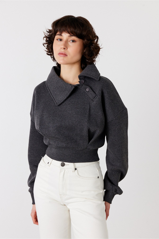 Pulse Crop Sweatshirt Antrasit