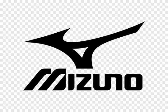 Mizuno Cyclone Speed Erkek Voleybol Ayakkabısı - V1GA178047-G13