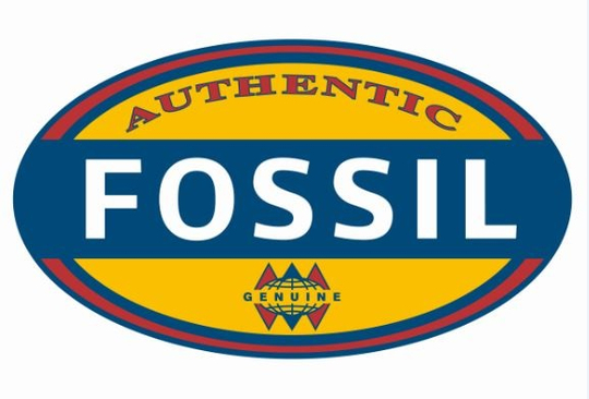 Fossil FES4700 Kadın Kol Saati - FOSSIL - Vanlılar Saat