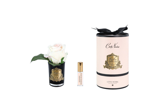Cote Noire -  Tek Güllü Ekru & Gold Siyah Vazolu Kokulu Çiçek