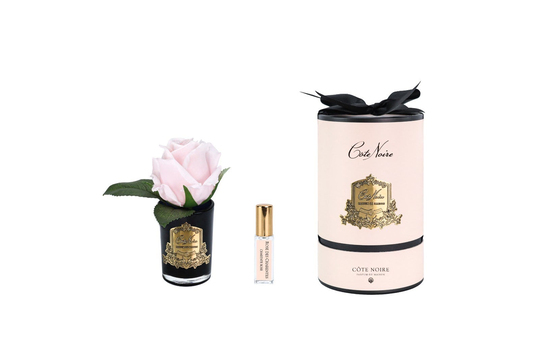 Cote Noire -  Tek Güllü Pembe & Gold Siyah Vazolu Kokulu Çiçek