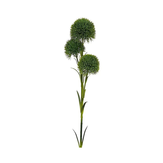 HK - Chestnut Allium Yeşil Dal