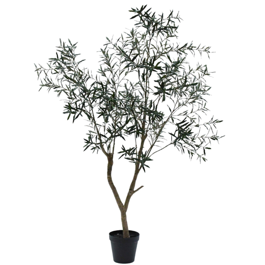 Silkka - Zeytin Ağacı 240 Cm