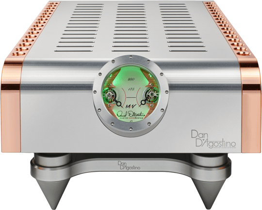 DAN D'AGOSTINO S250 MxV Power Amplifikatör