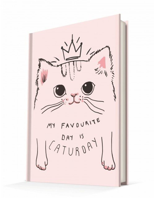 Caturday Defter