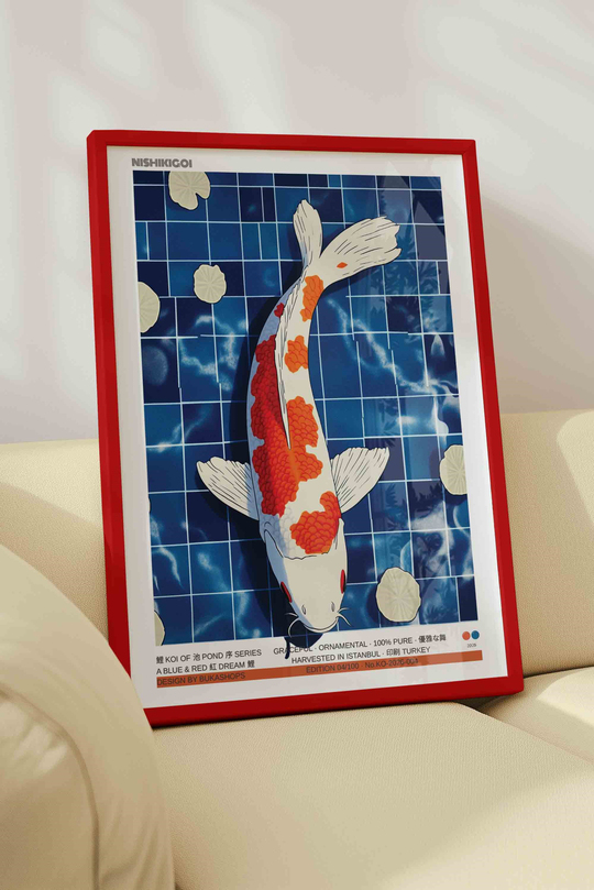 Koi Balığı Tablosu Mavi Havuz – Modern İllüstrasyon Sanat Posteri – Kırmızı Çerçeveli