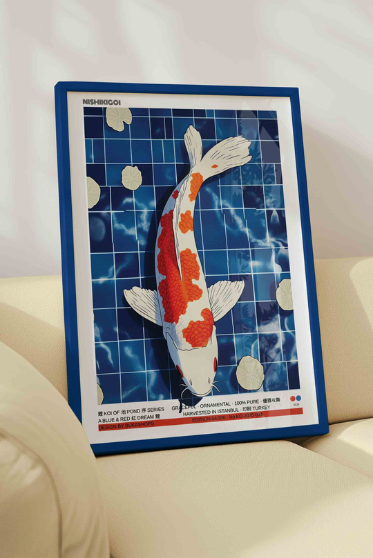 Koi Balığı Tablosu Mavi Havuz – Modern İllüstrasyon Sanat Posteri – Mavi Çerçeveli