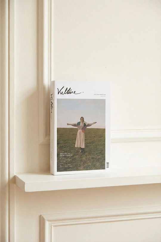 Modern Moda Dergisi Görünümlü Dekoratif Kutu - 'Vulture' Temalı Minimalist Gizli Saklama Kutusu - Salon ve Ofis Dekoru