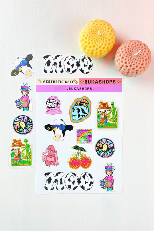 Aesthetic Sticker Seti 3