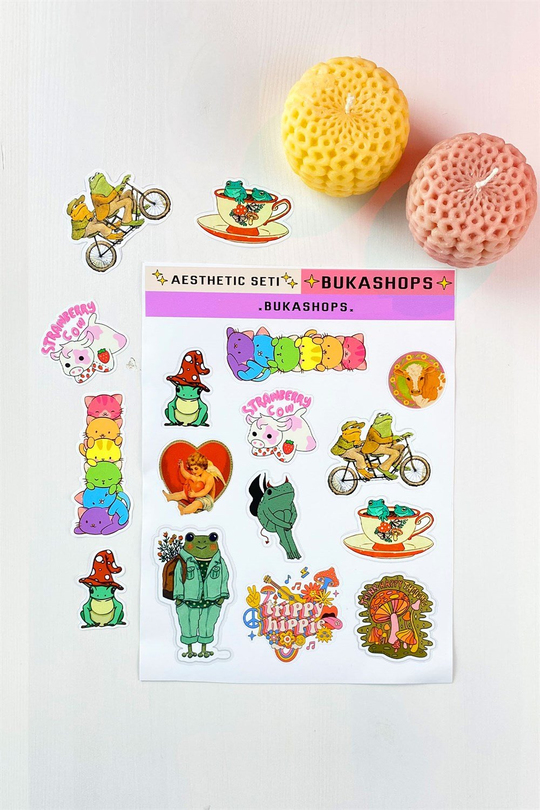 Aesthetic Sticker Seti 4