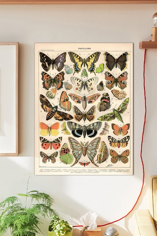 Big Papillons Duvar Posteri Büyük Boy 45x30 Cm