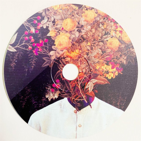Bloom Cd Boyama Dekor