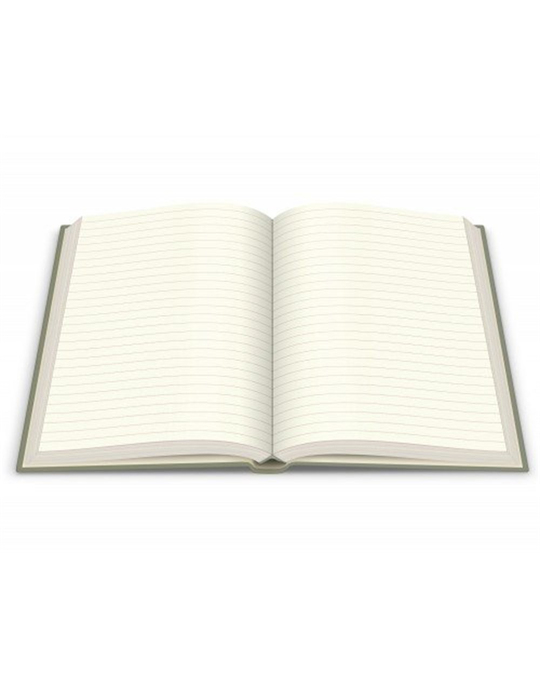 Caturday Defter