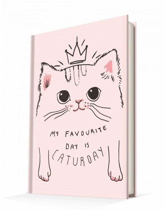 Caturday Defter