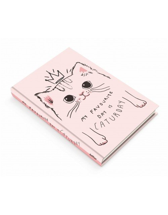 Caturday Defter