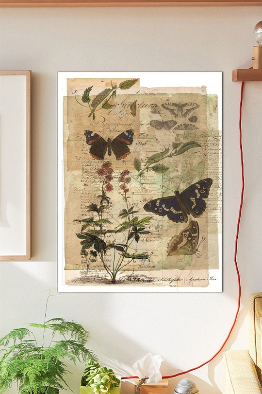 Eskitme Kelebek Duvar Posteri Büyük Boy 45x30 Cm