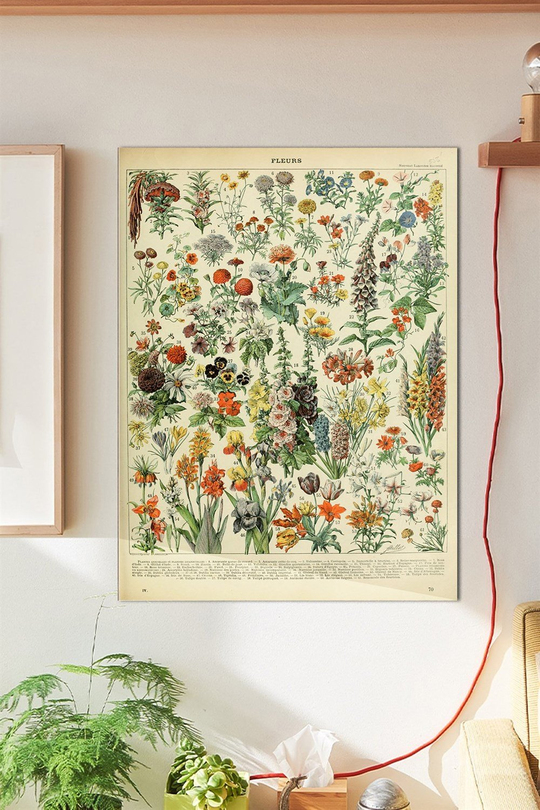 Fleurs Duvar Posteri Büyük Boy 45x30 Cm