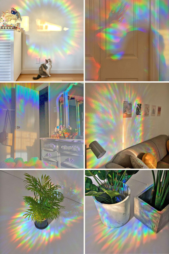 Holografik Sevimli Kedi Sun Catcher Sticker - Çiçek Bahçesi Gökkuşağı Pencere Filmi