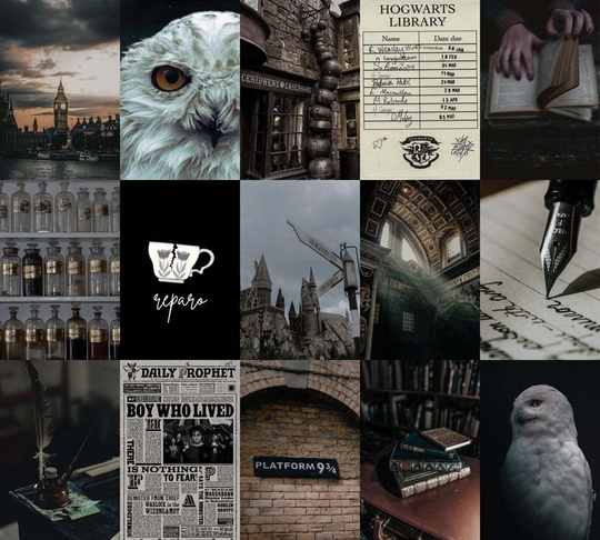 HP Natural Academia 60'lı Duvar Posteri Seti