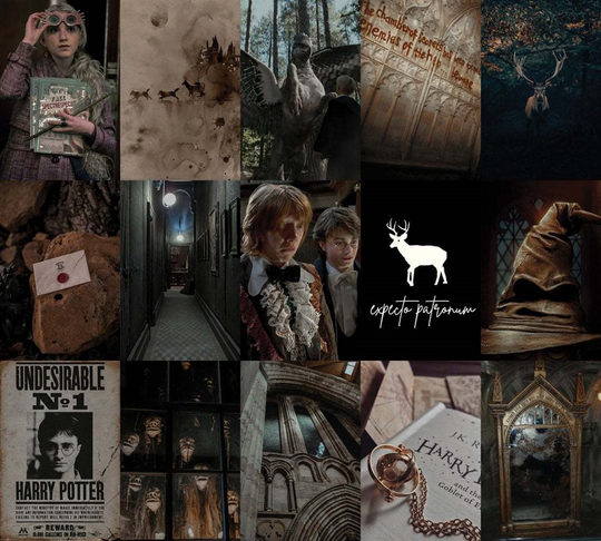 HP Natural Academia 60'lı Duvar Posteri Seti