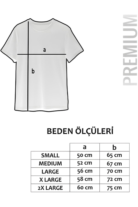 Japanese Aesthetic - Sakura & Mountain Grafik Oversize T-Shirt