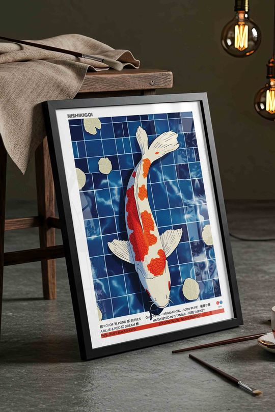 Koi Balığı Tablosu Mavi Havuz – Modern İllüstrasyon Sanat Posteri – Siyah Çerçeveli