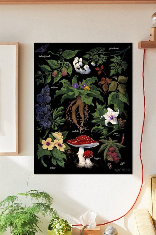 Mantar Duvar Posteri Büyük Boy 45x30 Cm