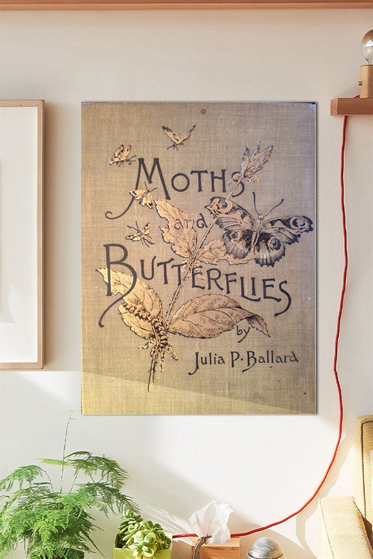 Moths Butterfly Duvar Posteri Büyük Boy 45x30 Cm