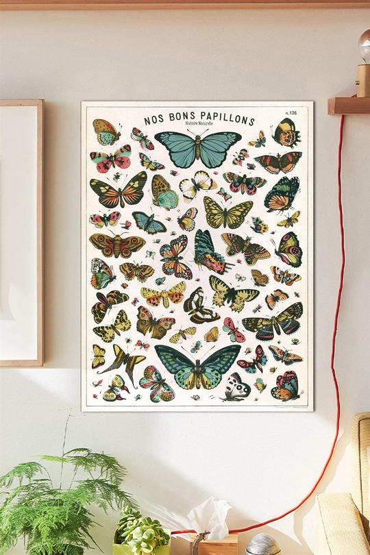 Nos Bons Papillons Duvar Posteri Büyük Boy 45x30 Cm