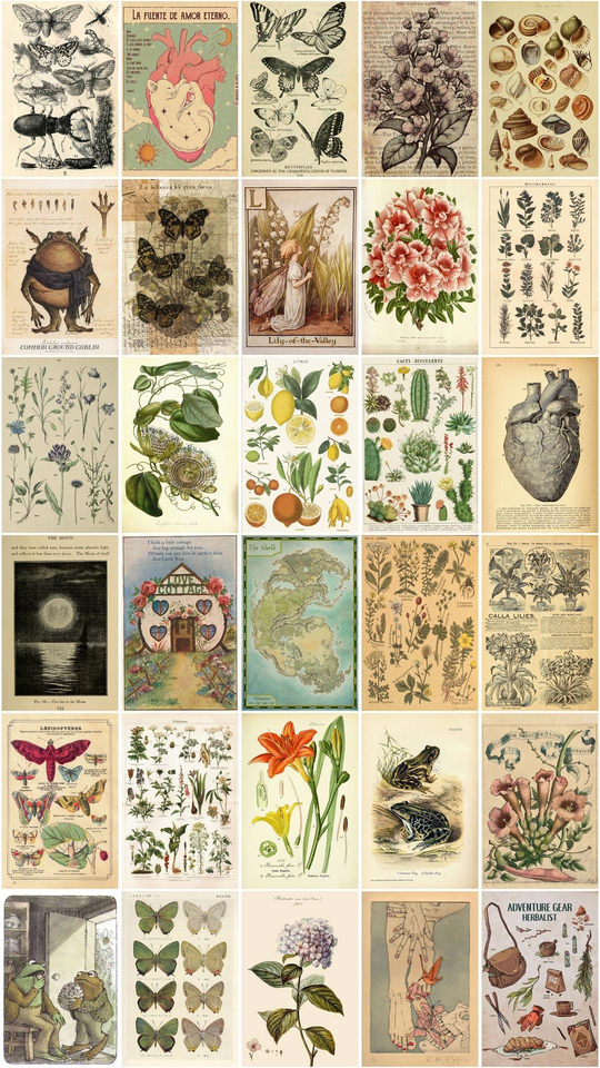 One Vintage Botanical Duvar Posteri Seti 30'lu