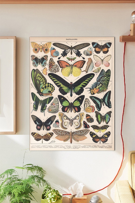 Papillons Duvar Posteri Büyük Boy 45x30 Cm