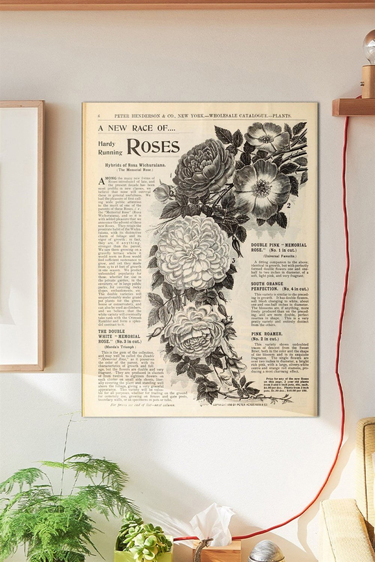 Roses Duvar Posteri Büyük Boy 45x30 Cm