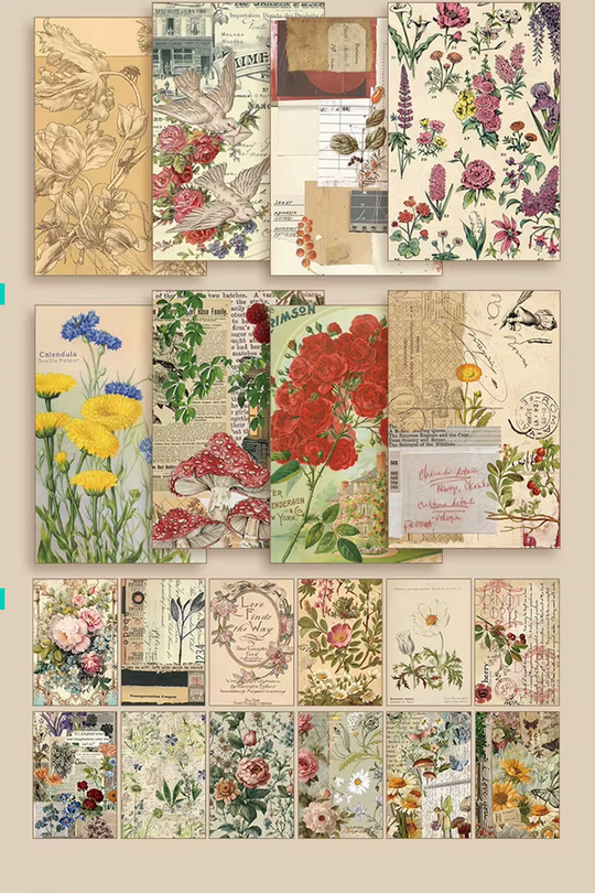 Scrapbook ve Junk Journal Sticker Seti 50 Sayfa Antika Herbaryum ve Kır Çiçeği - 30 Sticker + 20 Materyal Kağıdı, Bullet Journal ve Ajanda Süsleme