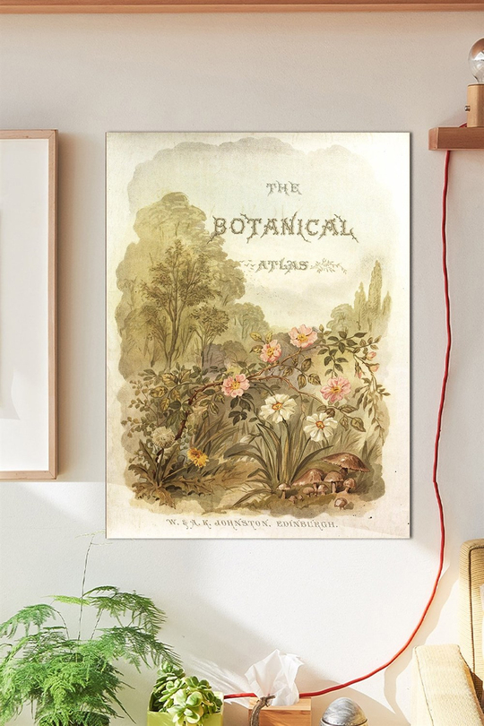 The Botanical Duvar Posteri Büyük Boy 45x30 Cm