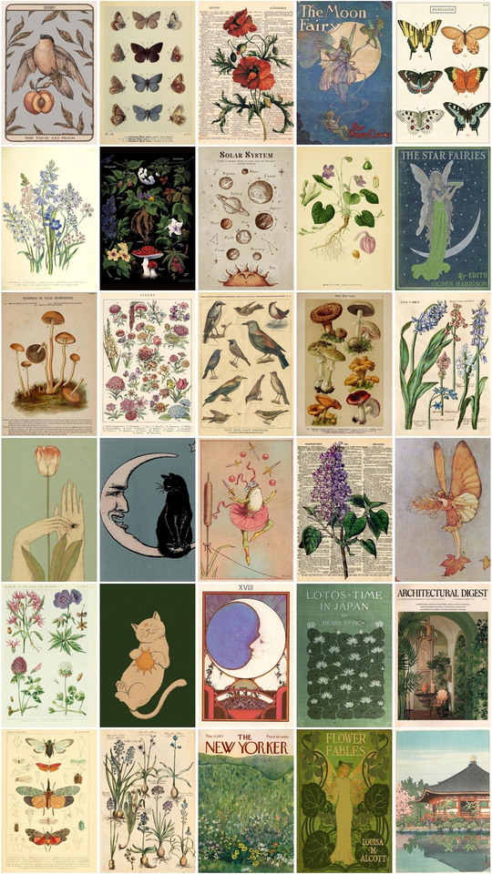 Two Vintage Botanical Duvar Posteri Seti 30'lu