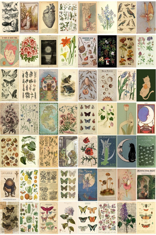 Vintage Botanical 60' lı Duvar Posteri Seti