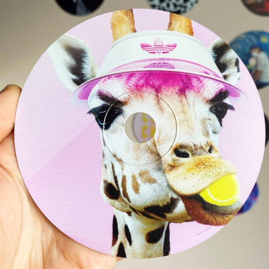 Zürafa Cd Boyama Dekor