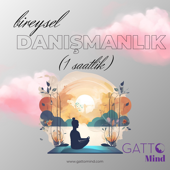 Bireysel Danışmanlık