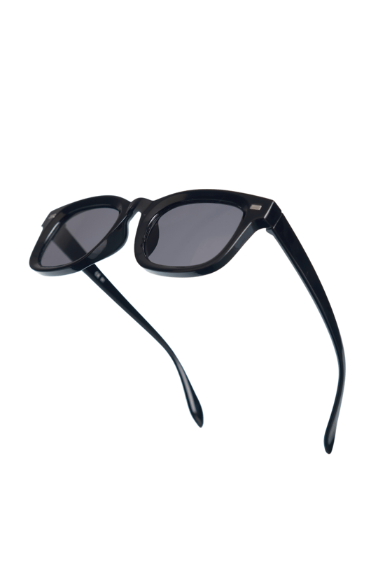 Royal Eyewear Re2303 Siyah Güneş Gözlüğü 