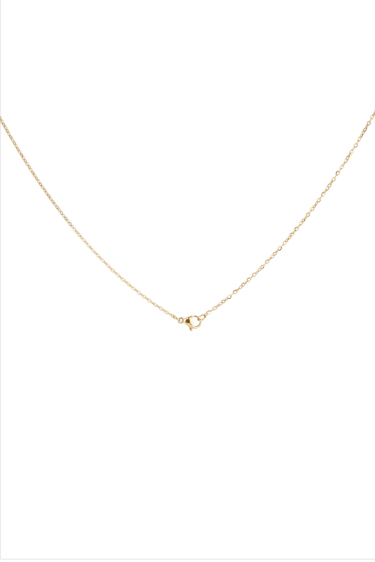 ISABELLA GOLD ÇELİK KOLYE