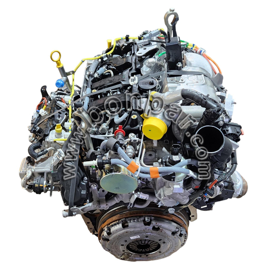 M9R 717 2.0 DCI Komple Sandık Motor (rps6541)