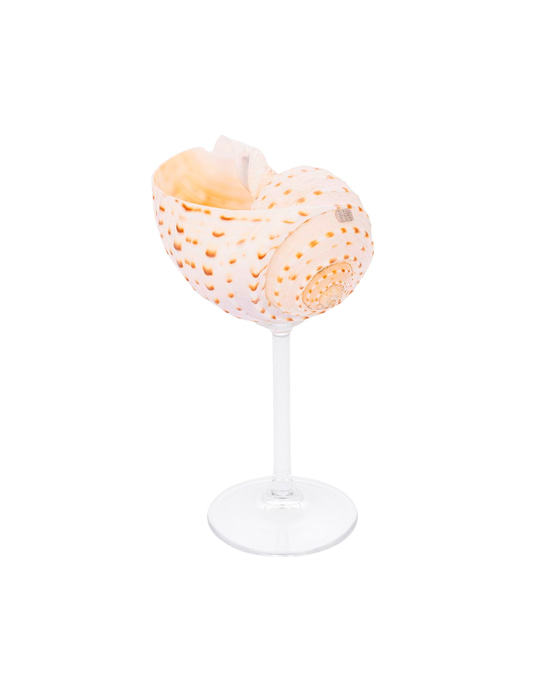 Multi - Shell Stemware